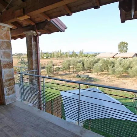 Fiori D'ulivo Pescia Romana