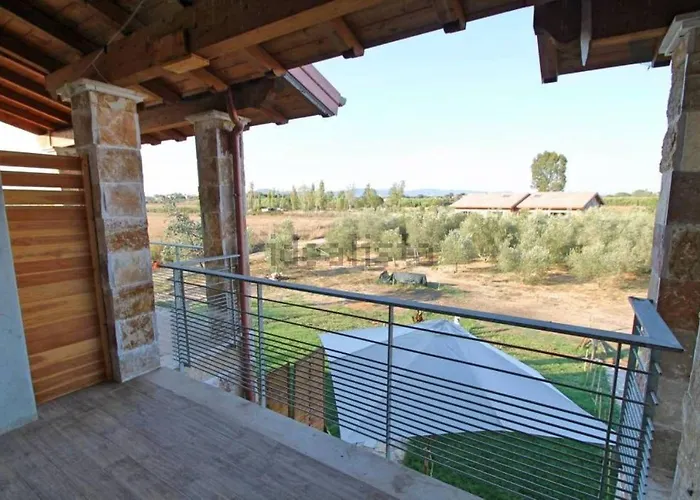 Fiori D'ulivo Pescia Romana